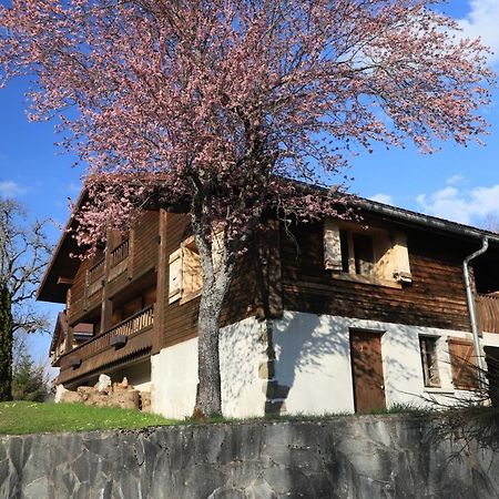 Villa Sous les Ecotagnes à Les Villards-sur-Thônes Extérieur photo