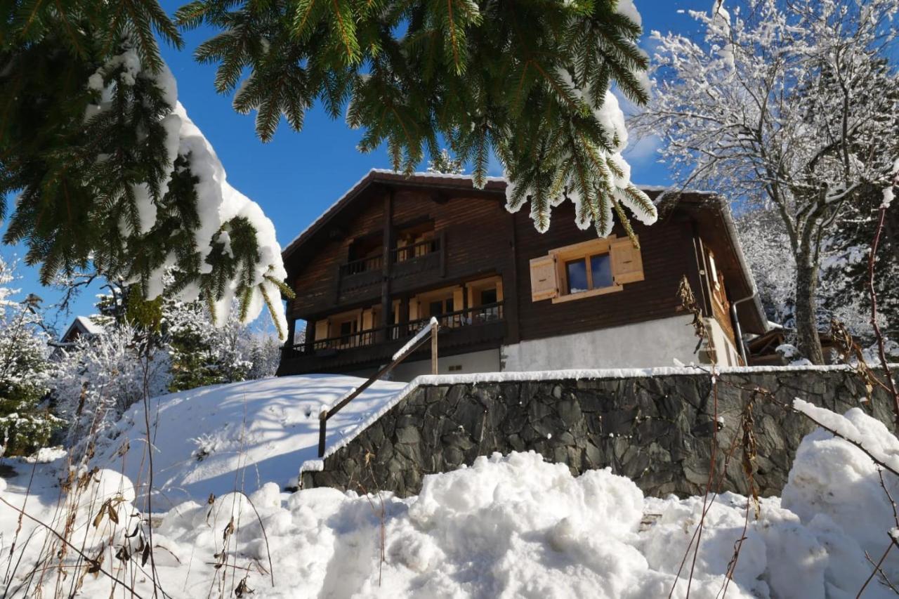 Villa Sous les Ecotagnes à Les Villards-sur-Thônes Extérieur photo