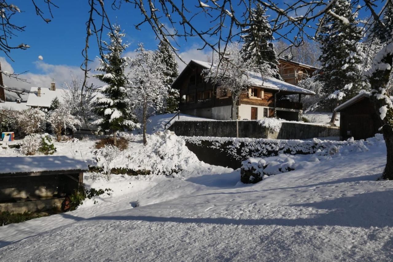 Villa Sous les Ecotagnes à Les Villards-sur-Thônes Extérieur photo