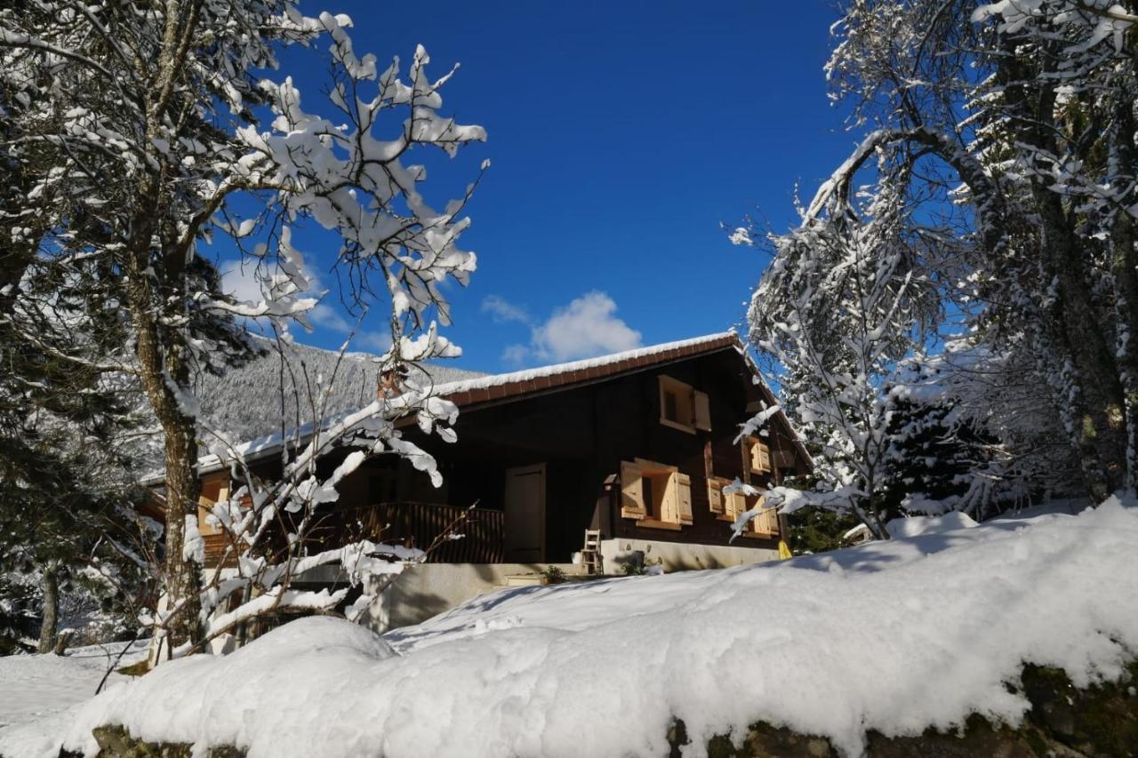 Villa Sous les Ecotagnes à Les Villards-sur-Thônes Extérieur photo