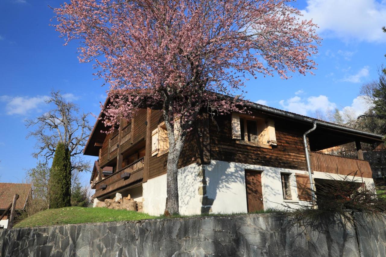 Villa Sous les Ecotagnes à Les Villards-sur-Thônes Extérieur photo